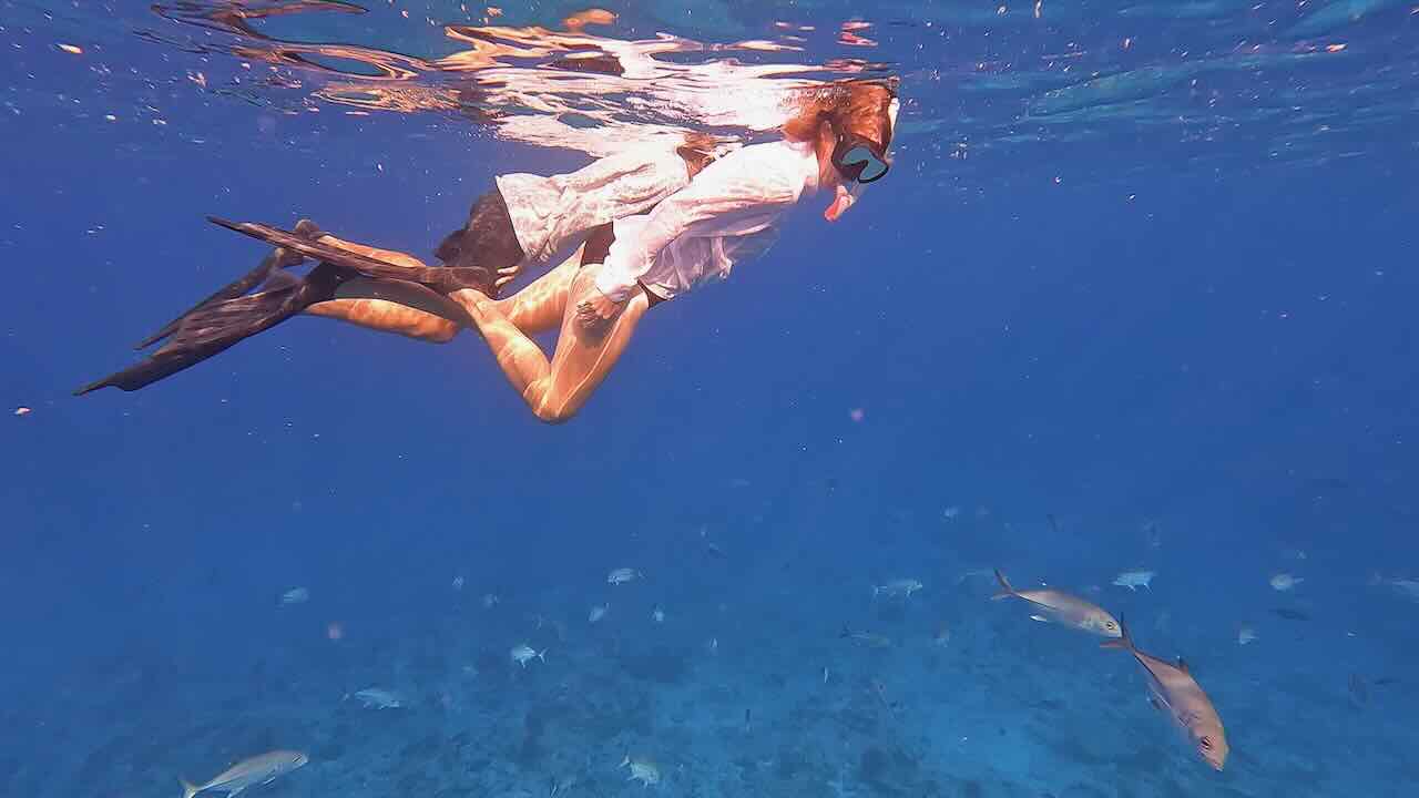 Two snorkelers underwater in a school of fish